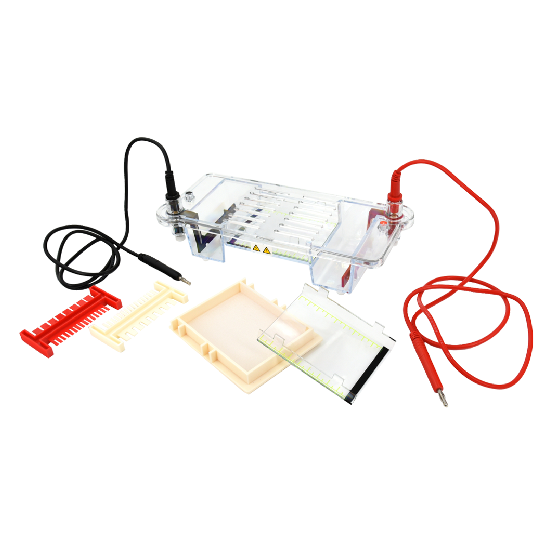 Nucleic Acid Electrophoresis