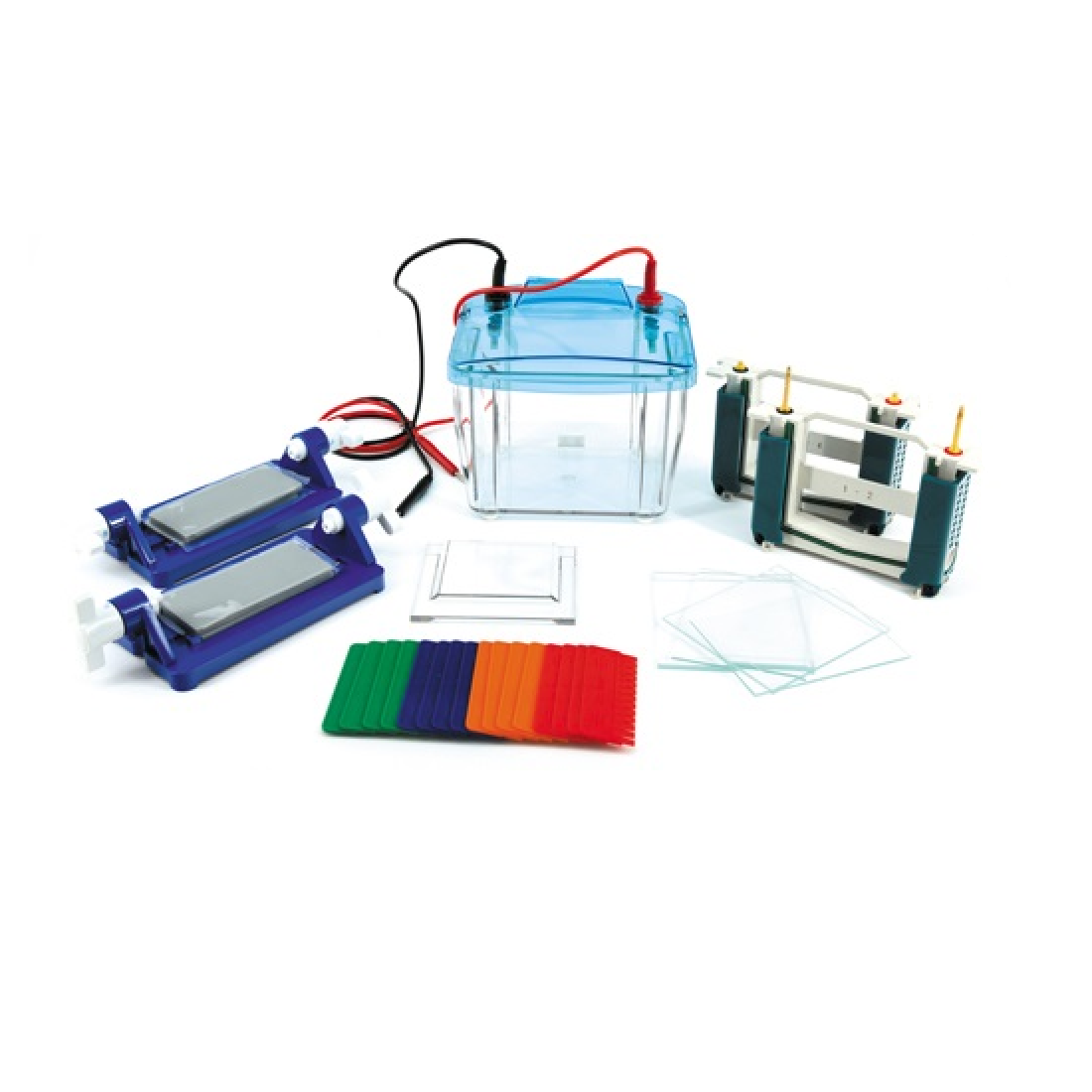 Tetra-Gel SDS-PAGE Electrophoresis