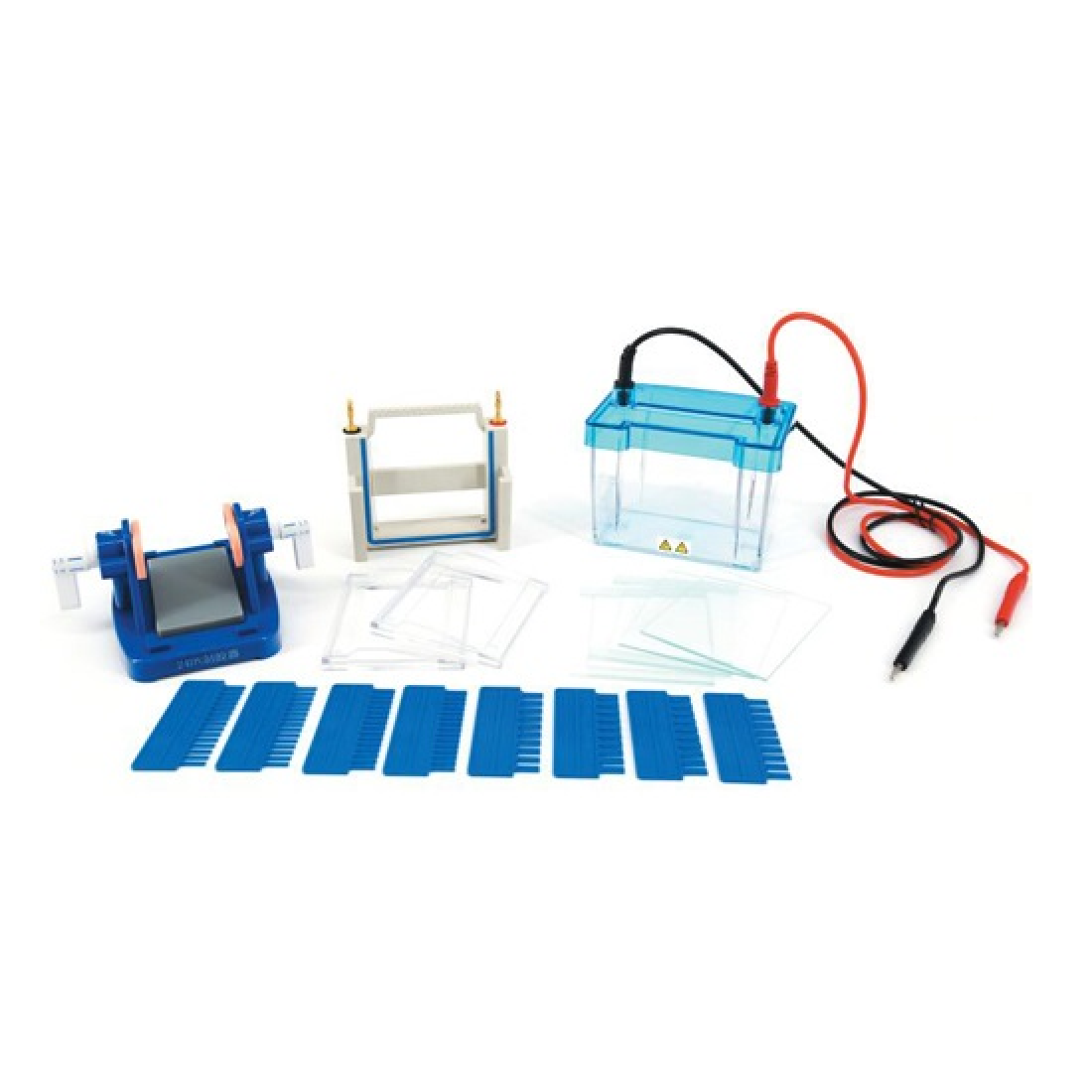 Dual-Gel SDS-PAGE Electrophoresis