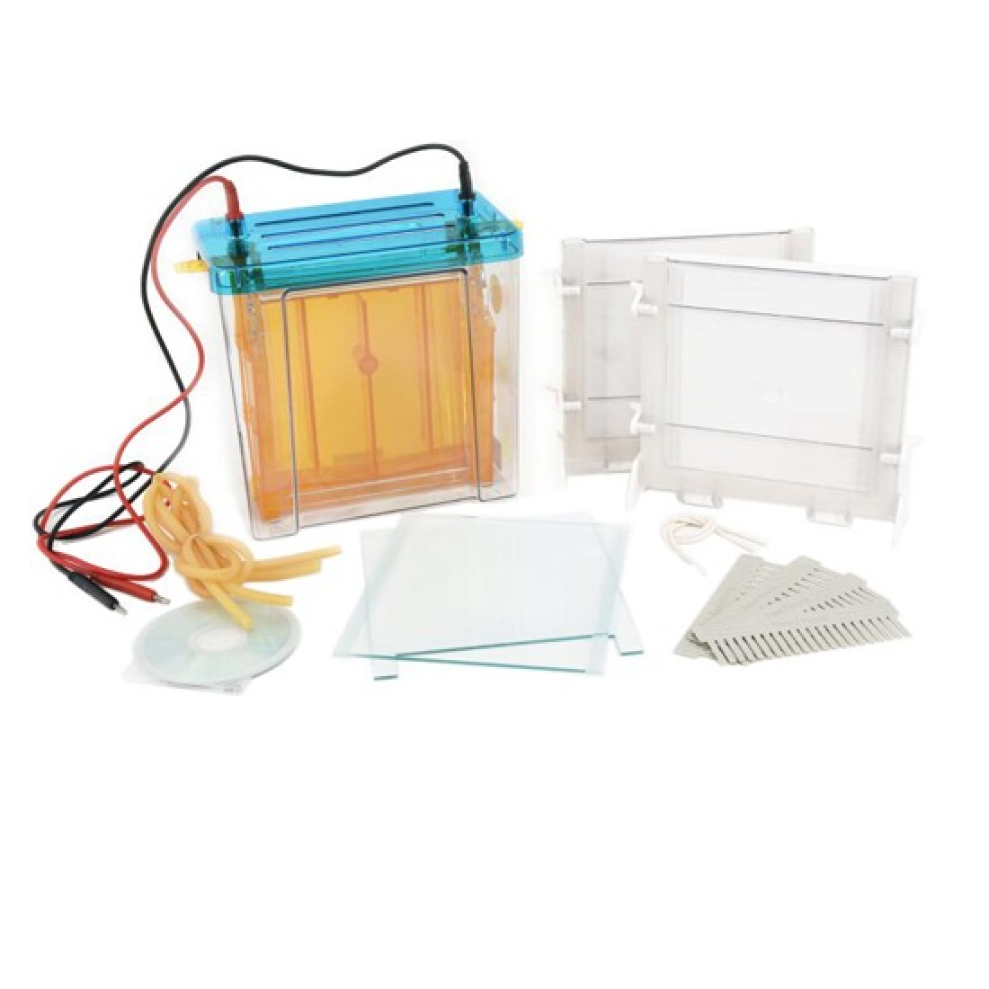 Dual-Gel SDS-PAGE Electrophoresis