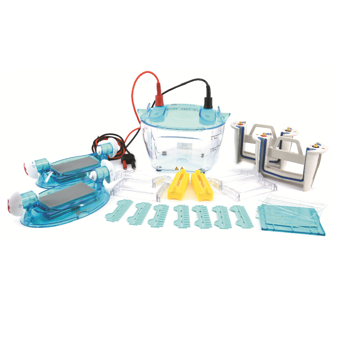 Tetra-Gel SDS-PAGE Electrophoresis