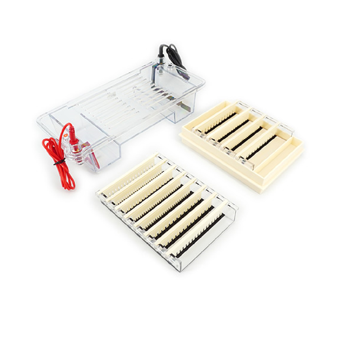 Nucleic Acid Electrophoresis 