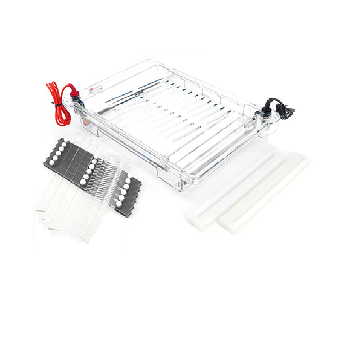 Nucleic Acid Electrophoresis