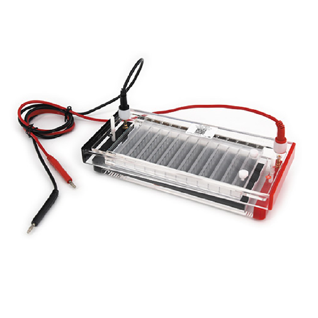 Nucleic Acid Electrophoresis