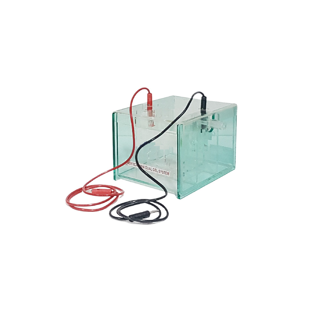 Dual-Gel SDS-PAGE Electrophoresis