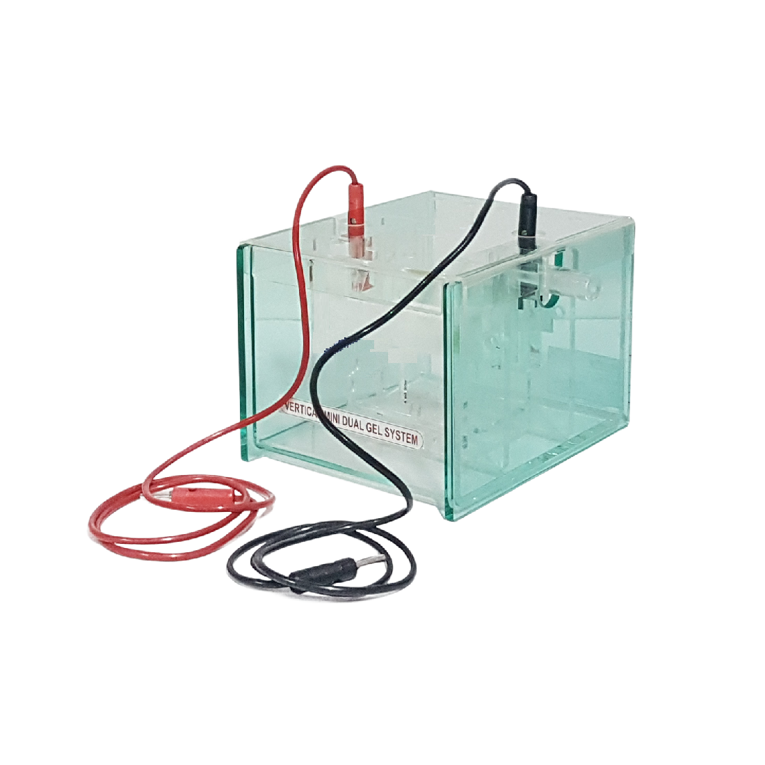 Dual-Gel SDS-PAGE Electrophoresis